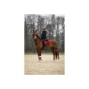 Afbeelding van BR XO2 strijklappen Crimson- Full