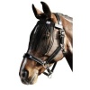 Afbeelding van Harry's Horse Vliegenfrontriem zwart - cob