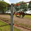 Afbeelding van Gallagher Softgrip poortgreep oranje lint RVS value pack (4)