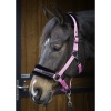 Afbeelding van Harry's Horse Halster Lyrics Quotes lime- full