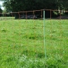 Afbeelding van Gallagher Schapennet, Oranje 90/1-14/G-50m