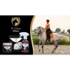 Afbeelding van Excellent Horse Hi Gloss Stencils 5 stuks