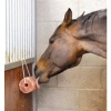 Afbeelding van Excellent Horse Salt Lick Himalaya 2-3 kg (Met touw)