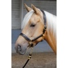 Afbeelding van Harry's Horse Halster Leder met bies zilver- cob