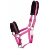 Afbeelding van Harry's Horse Halster Lyrics Quotes roze- pony