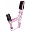 Afbeelding van Harry's Horse Halster Lyrics Quotes lime- pony