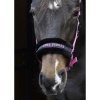 Afbeelding van Harry's Horse Halster Lyrics Quotes lime- full