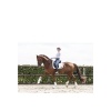 Afbeelding van ANKY® strijklappen Wit- M