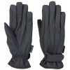 Afbeelding van Harry's Horse Handschoenen Alaska Waterproof zwart- xxs