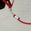 Afbeelding van Kentucky Paardenlijn rope basic Red- 200 cm