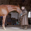 Afbeelding van Horslyx Mini Mint