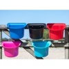 Afbeelding van Harry's Horse Voerbak Lichtgewicht fuchsia