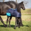 Afbeelding van Harry's Horse Veulendeken TwoTone 200gr zwart- 65