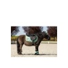 Afbeelding van BR Mini Horse Majestic beenbeschermers Feldspar- XXS