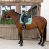 Afbeelding van Kentucky Zadeldek velvet dressuur green- Cob