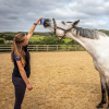 Afbeelding van Horslyx Mini Original