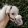 Afbeelding van Kentucky Lederen halster wol Brown- Pony