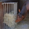 Afbeelding van Hooiruif - Slowfeeder 