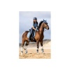 Afbeelding van BR Eevolv strijklappen Elay Captain's Blue- Pony