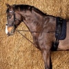 Afbeelding van Harry's Horse Longeerkoord V-line (paar) zwart