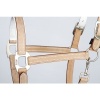Afbeelding van Harry's Horse Halster Leder Cremello beige- full