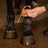 Afbeelding van Harry's Horse Zeep HairCare Natural (100 gr) - uni