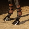 Afbeelding van Harry's Horse Peesbeschermers Protech bruin- full