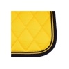 Afbeelding van BR Event zadeldek Cooldry® dressuur Freesia- Cob