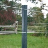 Afbeelding van Gallagher PowerLine cord wit 500m