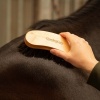 Afbeelding van Harry's Horse Borstel ComfortCare Wood Horse Hair naturel- uni