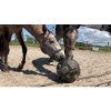 Afbeelding van Excellent Horse Feed & Play Ball blauw