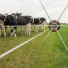 Afbeelding van Gallagher Rasterspin (5)