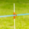 Afbeelding van Gallagher TurboLine lint 12,5mm blauw 200m