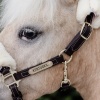 Afbeelding van Kentucky Lederen halster wol Brown- Pony