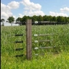 Afbeelding van Gallagher Insultimber (FSC®) hoekpaal 250x10x10cm (10x1)