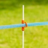Afbeelding van Gallagher TurboLine lint 20mm blauw 200m
