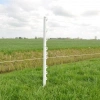 Afbeelding van Gallagher Duopack Vario paal wit 1,00m (2x10)