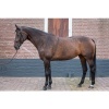Afbeelding van Harry's Horse Longeerhulp Soft - m