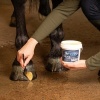 Afbeelding van Harry's Horse Hoefvet geel (500 ml) - uni