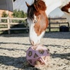 Afbeelding van Kentucky Relax Paardenspeeltje speel- en hooibal Old rose- Large