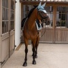 Afbeelding van Kentucky Oornetje Wellington velvet Light blue- Full