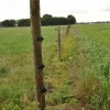 Afbeelding van Gallagher W-isolator zwart (25)