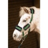 Afbeelding van Harry's Horse Halsterset Soft STOUT! Lime legergroen- mini