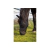 Afbeelding van BR vliegenmasker Guard Zwart- Pony