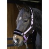 Afbeelding van Harry's Horse Halster Lyrics Quotes lime- pony