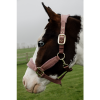 Afbeelding van Kentucky Velvet halster Old rose- Pony