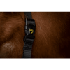 Afbeelding van Excellent Superior Halster Zwart XS