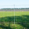 Afbeelding van Gallagher TurboStar Wolvennet, Blauw 120/2W14/W-50m