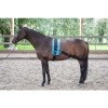 Afbeelding van Harry's Horse Longeerband Elastisch