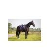 Afbeelding van BR Event strijklappen zonder elastiek Grape Royal- Pony